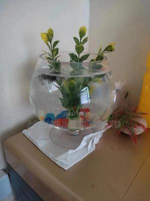 Fish Bowl In Glass Form, Aquarium Fish - thumbnail 2
