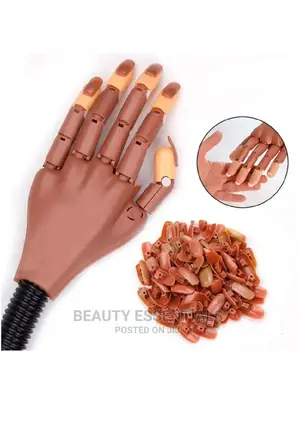 Dammy Hand/Hand Dammy