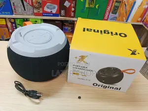 Portable Loudspeaker