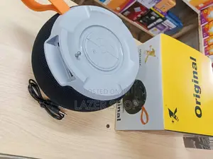 Portable Loudspeaker