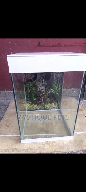 Location Fish Tank - thumbnail 2