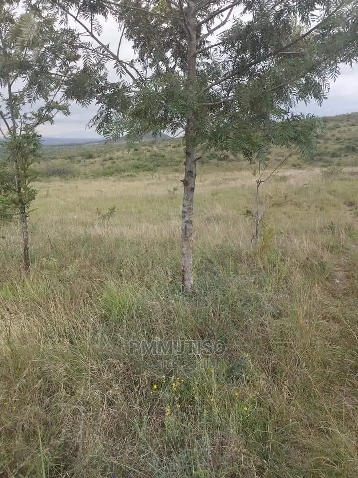 Athi River 5 Acres in DayStar Area Land & Plots for Sale, Pmmutiso