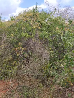 130acres for Sale With Title Deed