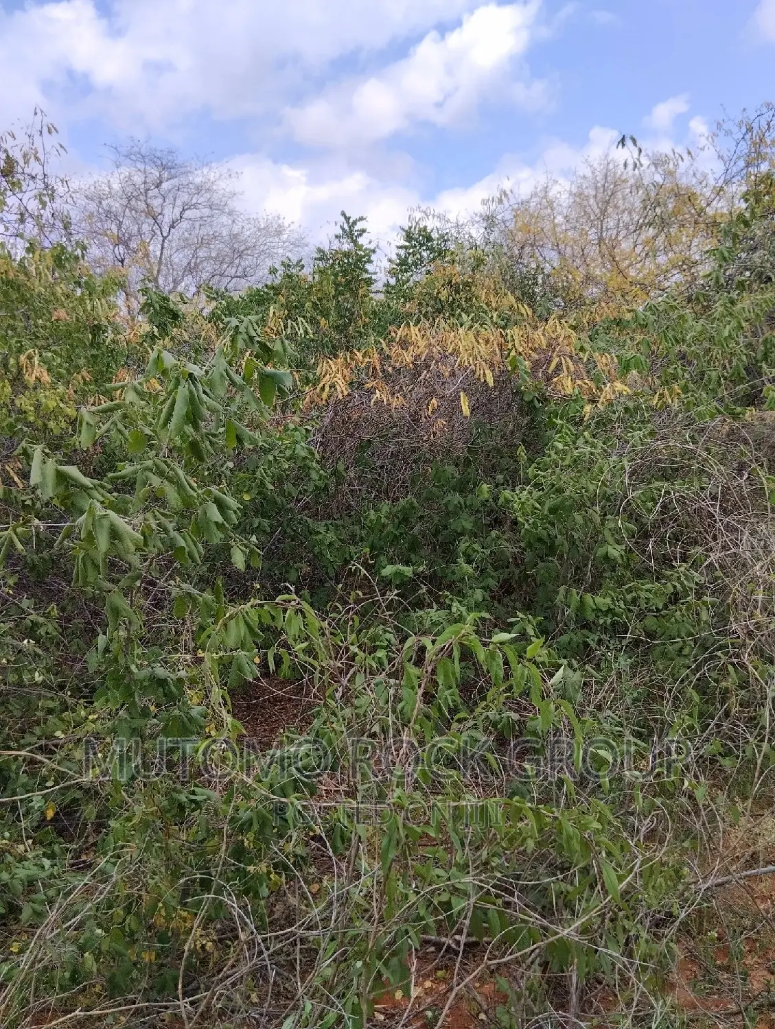 130acres for Sale With Title Deed