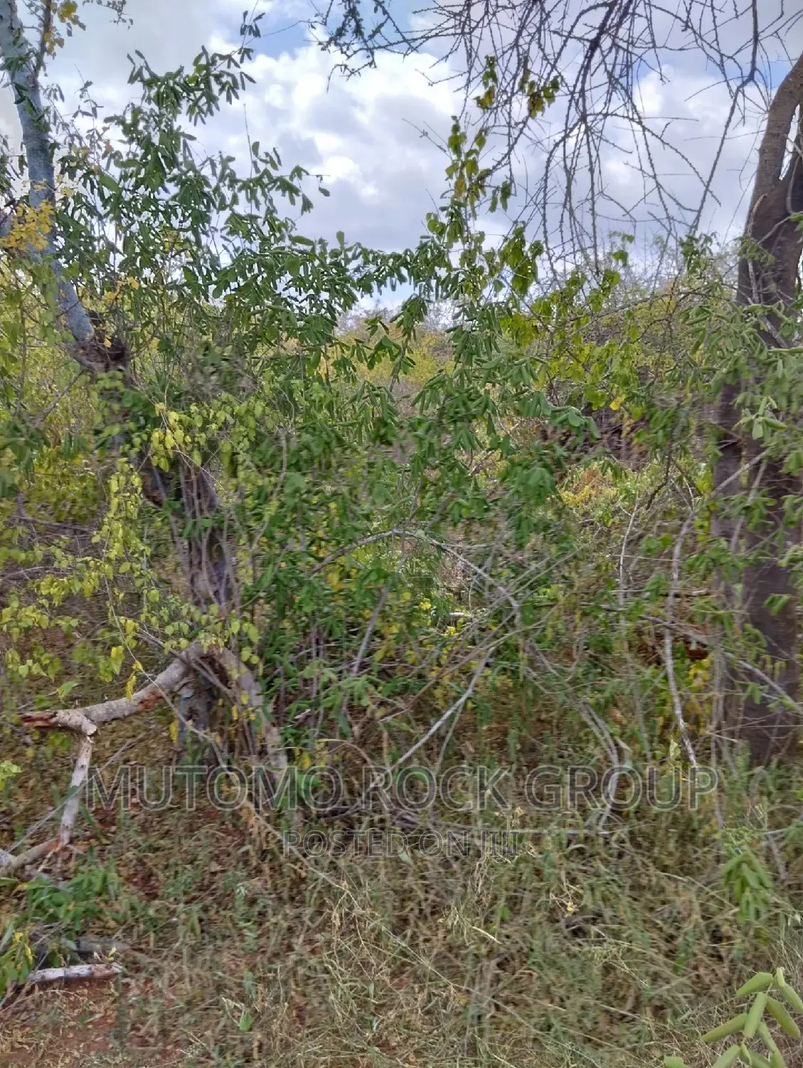 130acres for Sale With Title Deed