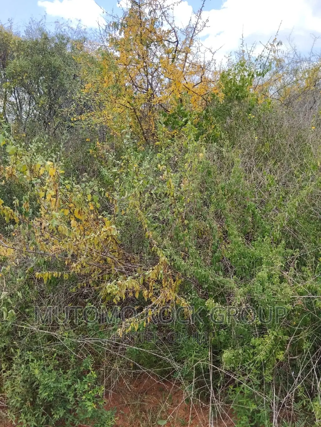 130acres for Sale With Title Deed