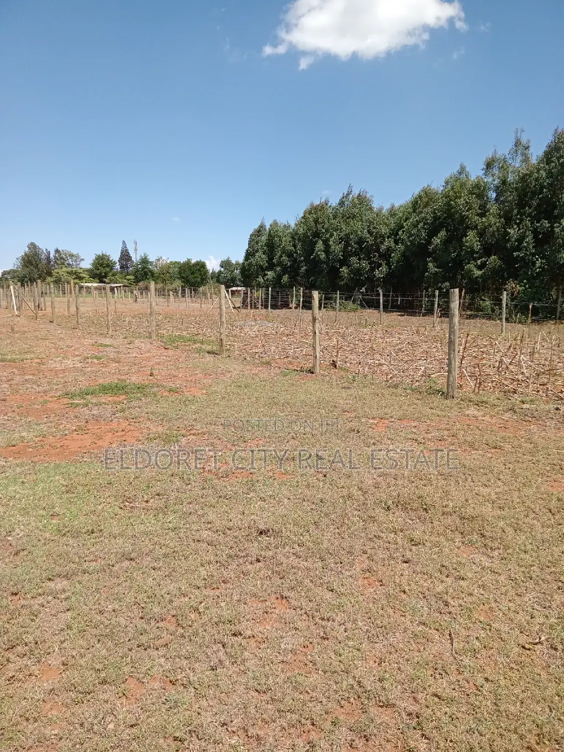 1/8 Plot Nyamumbi With Title
