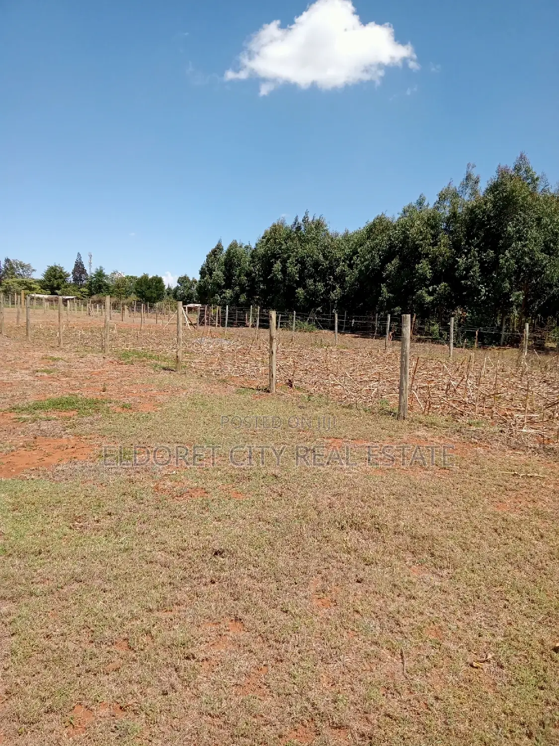 1/8 Plot Nyamumbi With Title
