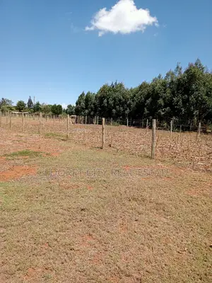1/8 Plot Nyamumbi With Title