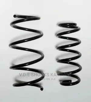 Toyota Vanguard Heavy-Duty Coil Springs