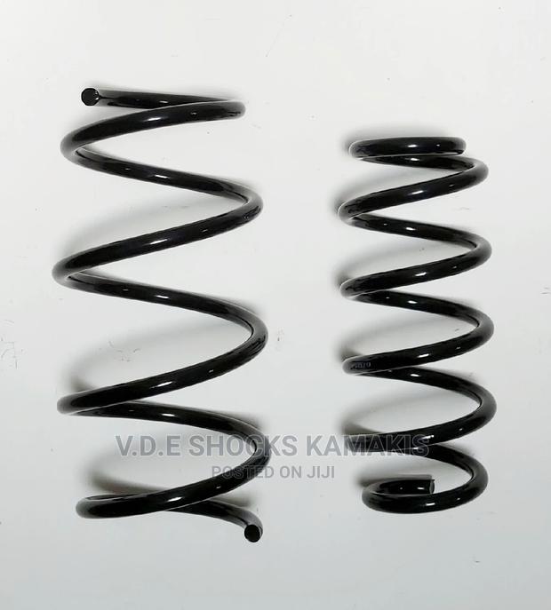Toyota Vanguard Heavy-Duty Coil Springs - thumbnail 4