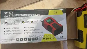 Car/Motorbike Automatic Charger