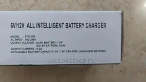Car/Motorbike Automatic Charger