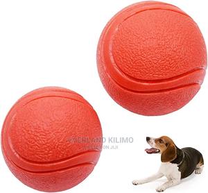 Pet Fetch Toy Ball - thumbnail 2