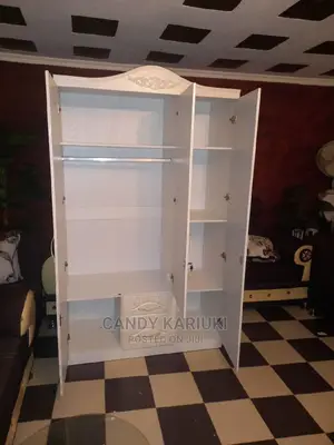 Spacious 3 Door Closet