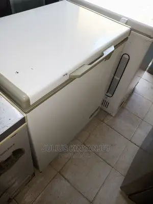 Deep Freezer 180l