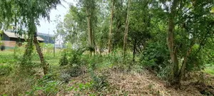 Commercial 1 Acre Land on Sale Mtwapa Touching the Highway.