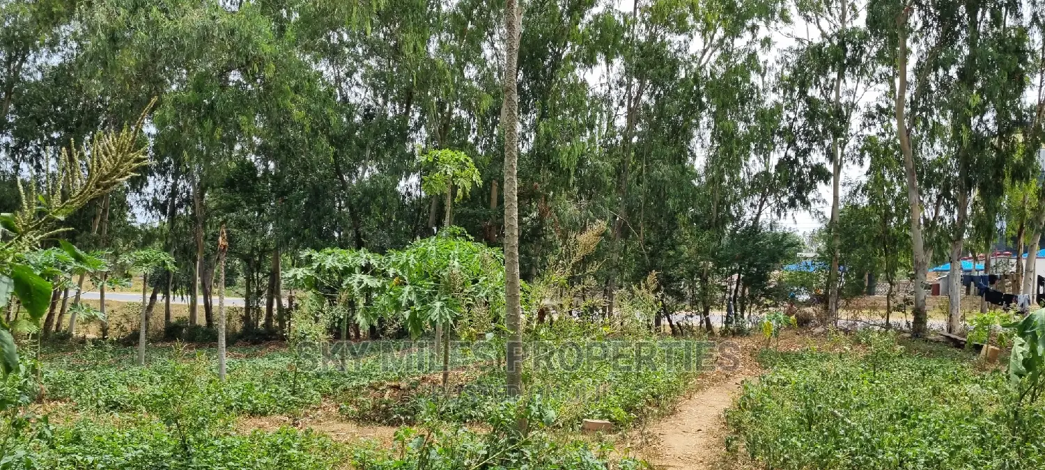 Commercial 1 Acre Land on Sale Mtwapa Touching the Highway.