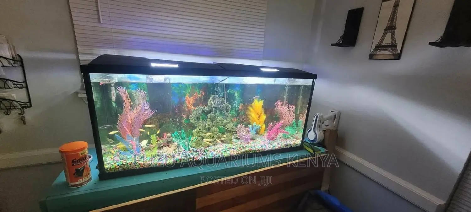 Aquarium Colorful