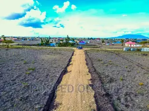 Buy and Build in Kantafu