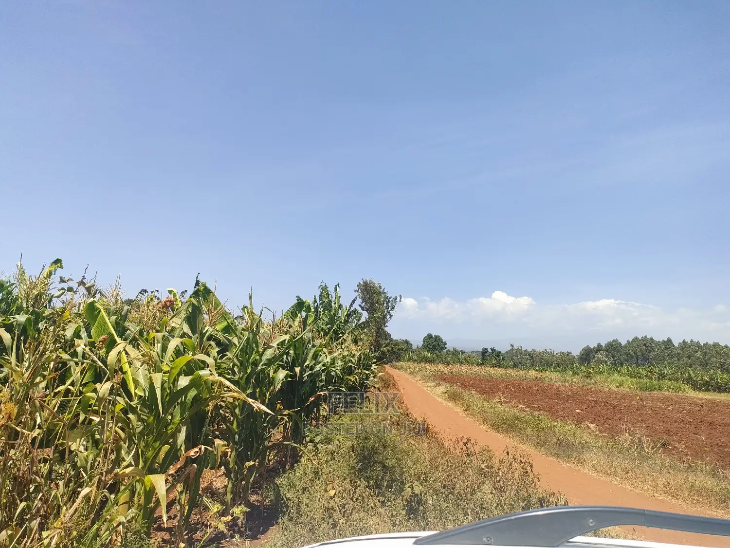 1 Acre Kirinyaga /Kutus