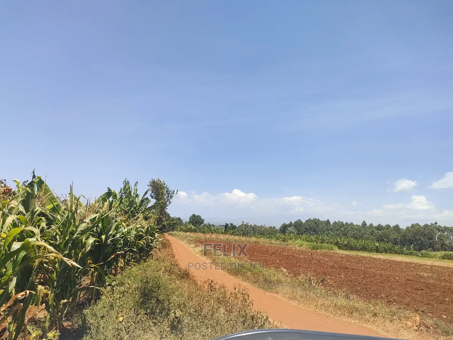 1 Acre Kirinyaga /Kutus