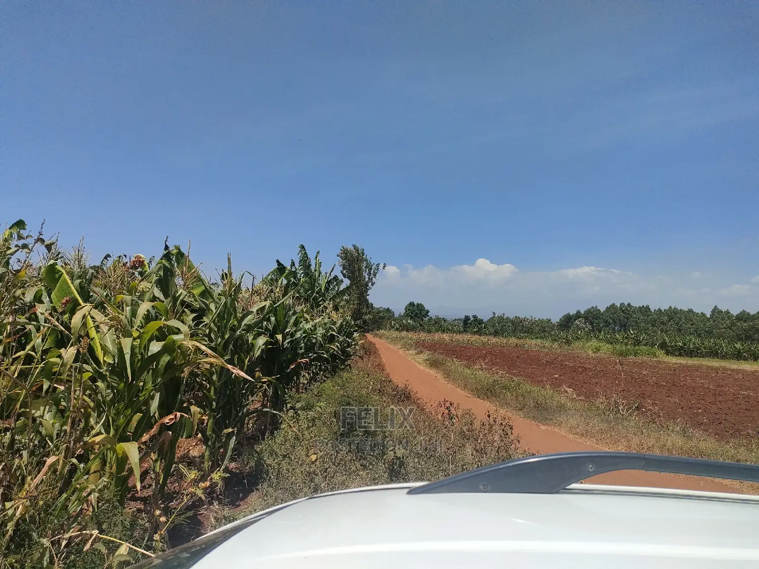 1 Acre Kirinyaga /Kutus