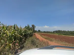 1 Acre Kirinyaga /Kutus