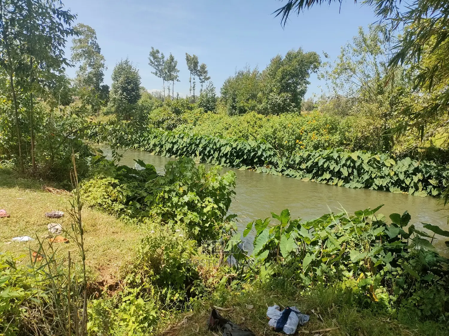 1 Acre Kirinyaga /Kutus