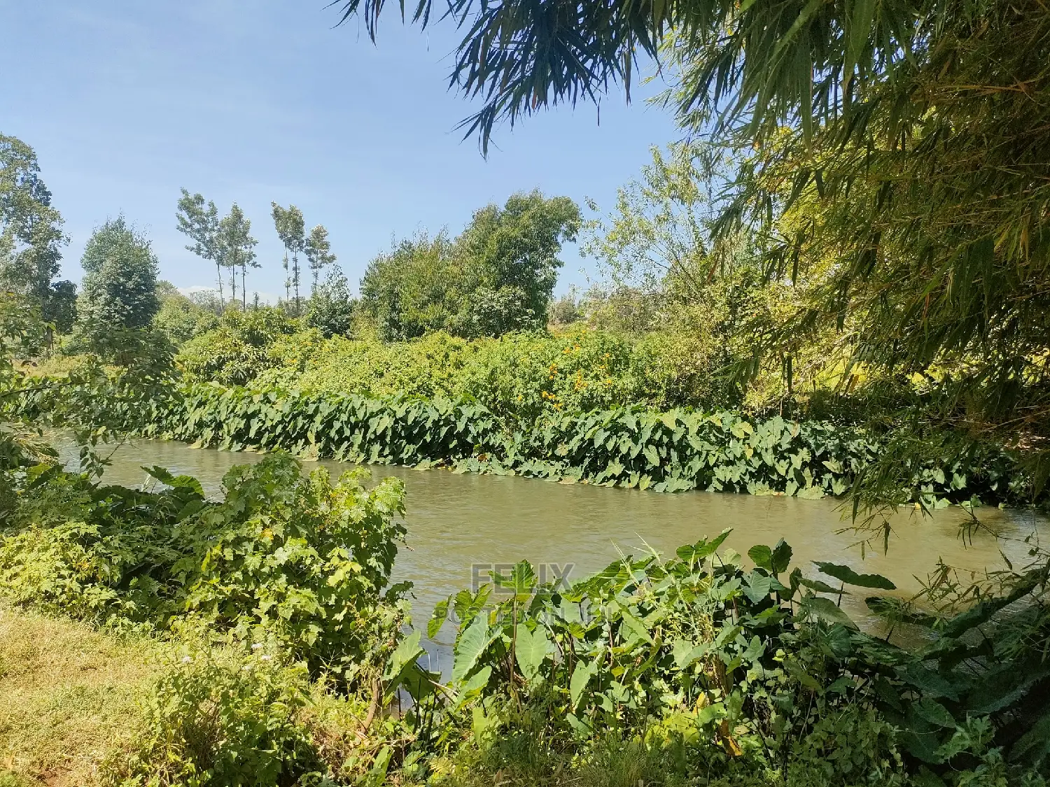 1 Acre Kirinyaga /Kutus