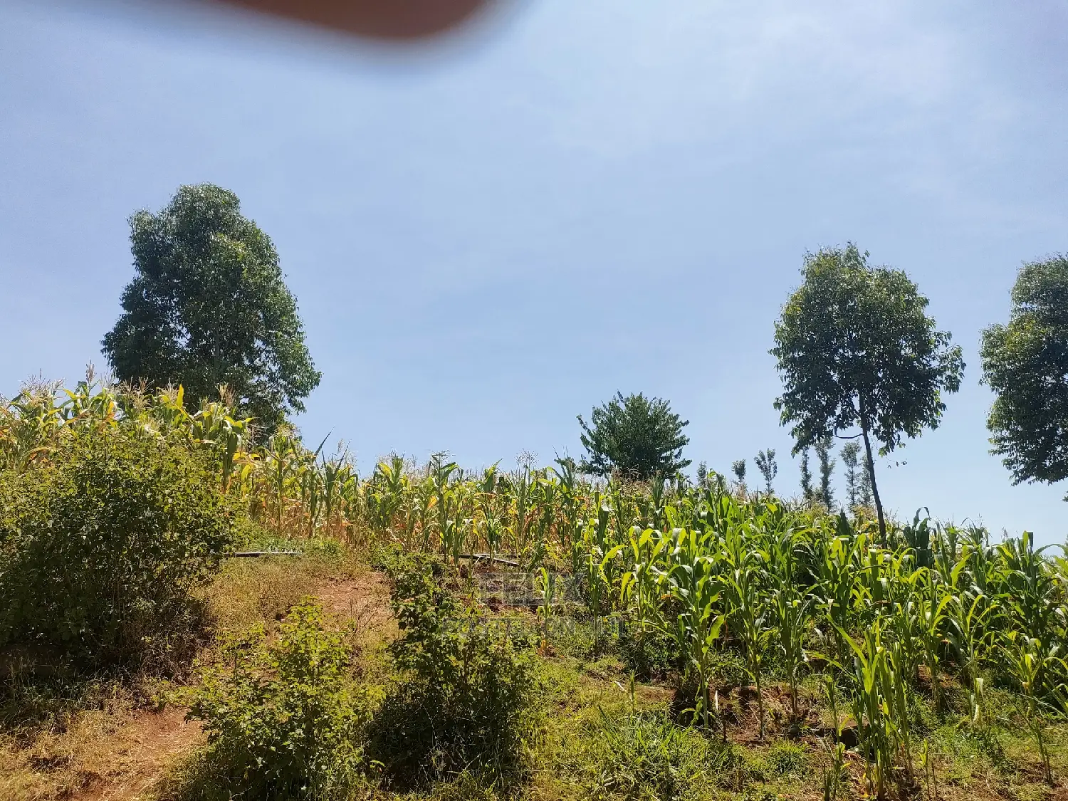 1 Acre Kirinyaga /Kutus