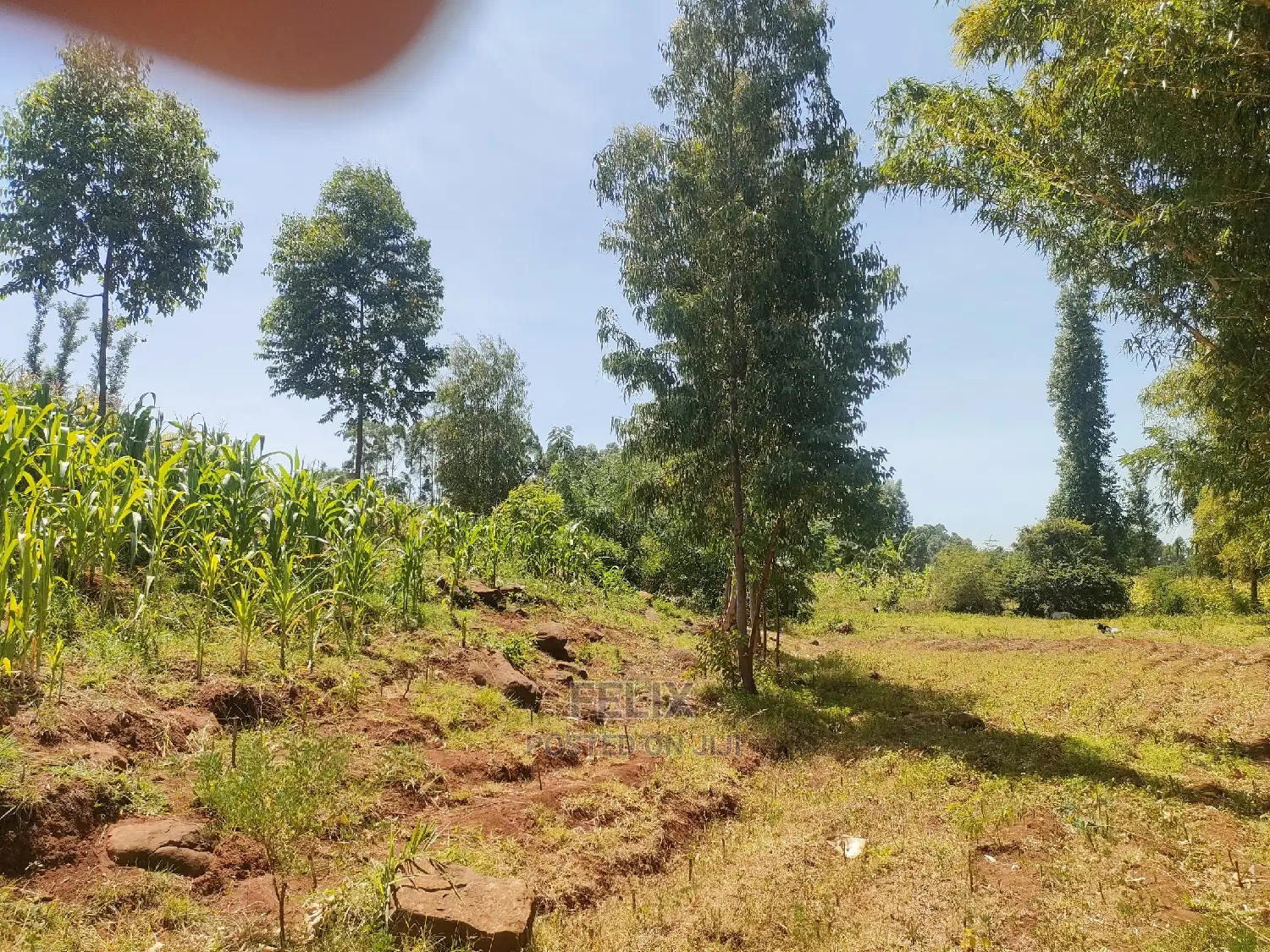 1 Acre Kirinyaga /Kutus