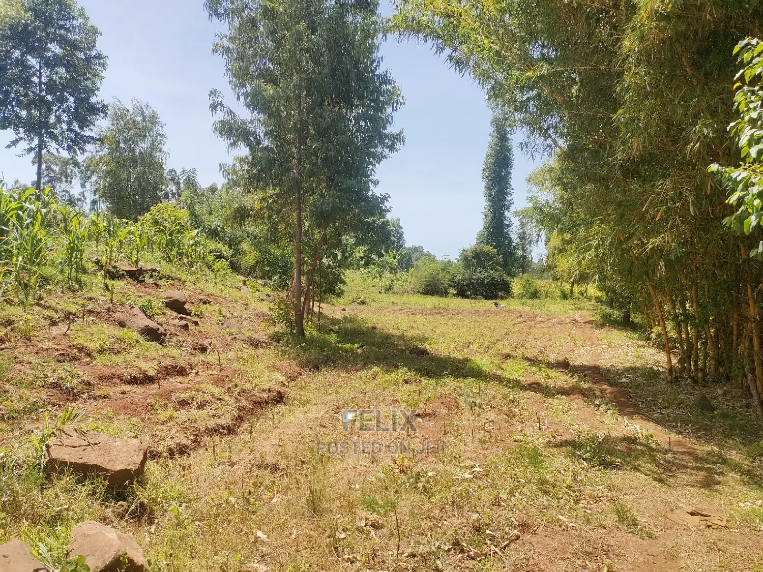 1 Acre Kirinyaga /Kutus