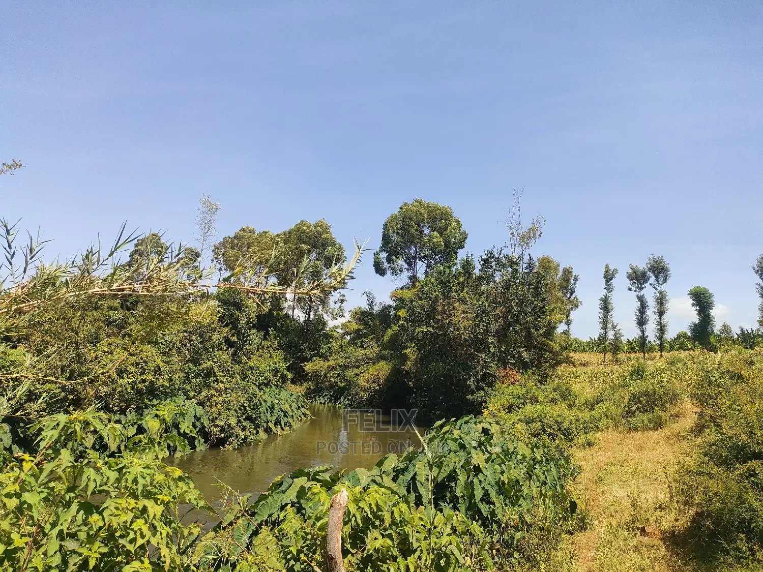 1 Acre Kirinyaga /Kutus