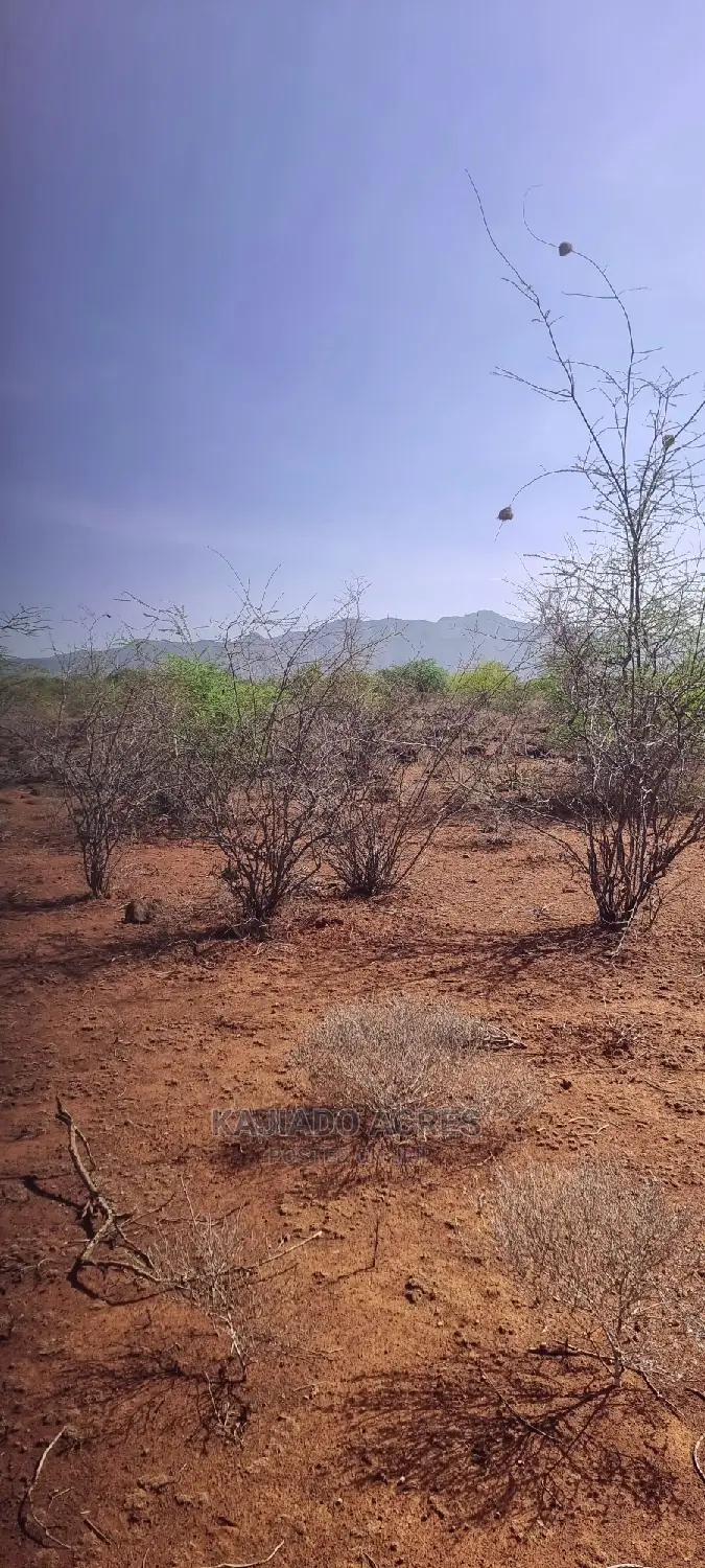 25 Acres Cliff End Property in Tinga at Per850k Acre