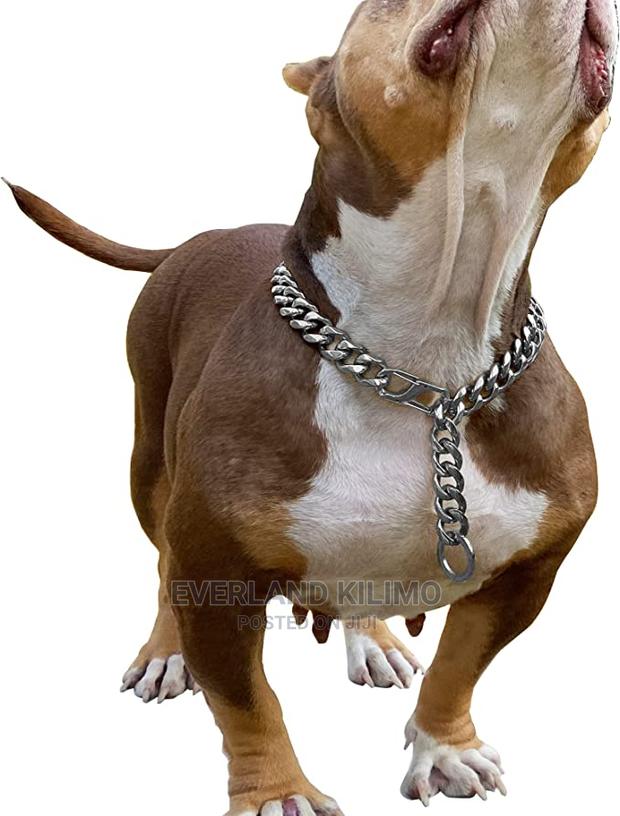 Training Choke Chain - main view