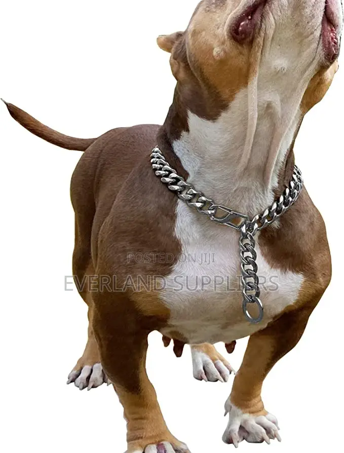 Training Choke Chain