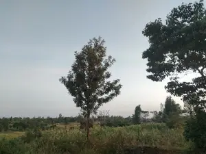 3 Acres Sagana/ Karatina Highway Kiangwachi