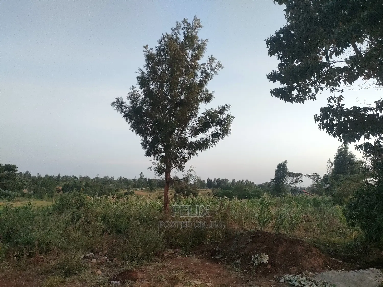 3 Acres Sagana/ Karatina Highway Kiangwachi