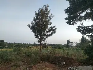 3 Acres Sagana/ Karatina Highway Kiangwachi