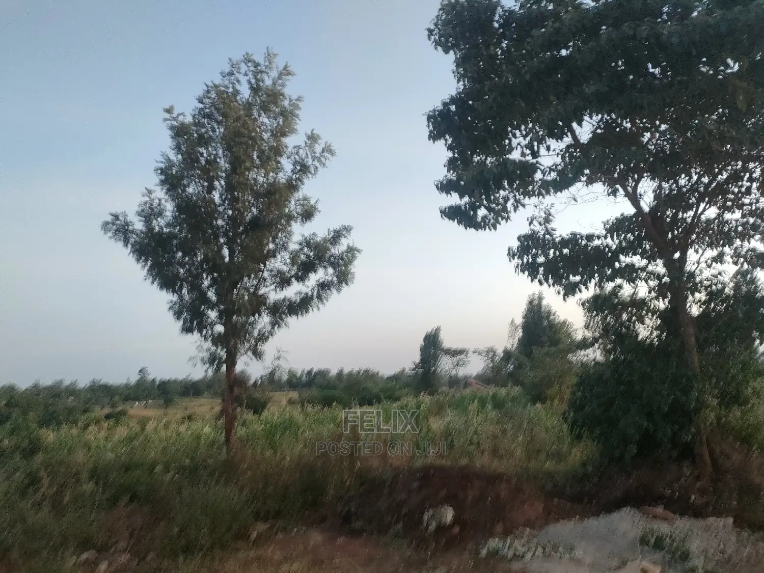 3 Acres Sagana/ Karatina Highway Kiangwachi