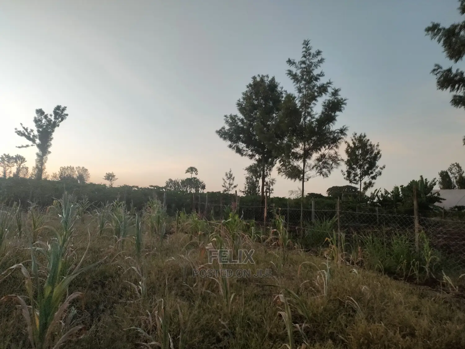 3 Acres Sagana/ Karatina Highway Kiangwachi