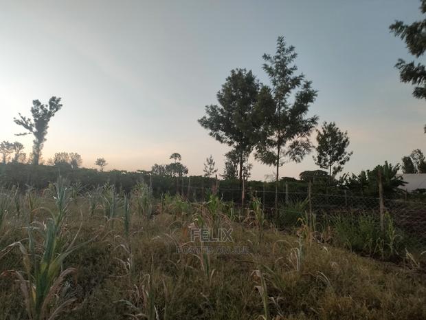3 Acres Sagana/ Karatina Highway Kiangwachi - thumbnail 7