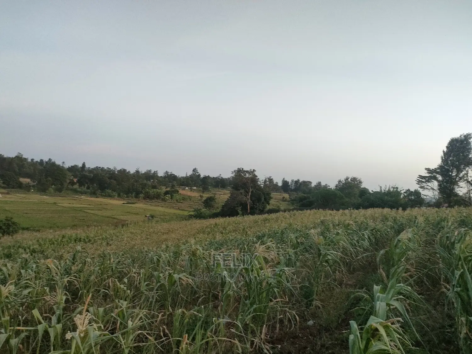 3 Acres Sagana/ Karatina Highway Kiangwachi