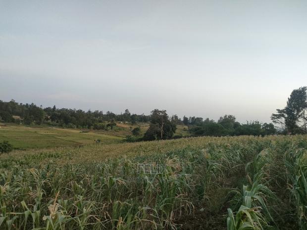 3 Acres Sagana/ Karatina Highway Kiangwachi - thumbnail 10