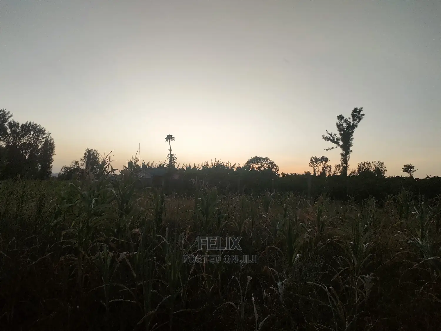 3 Acres Sagana/ Karatina Highway Kiangwachi