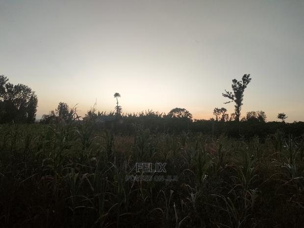 3 Acres Sagana/ Karatina Highway Kiangwachi - thumbnail 8