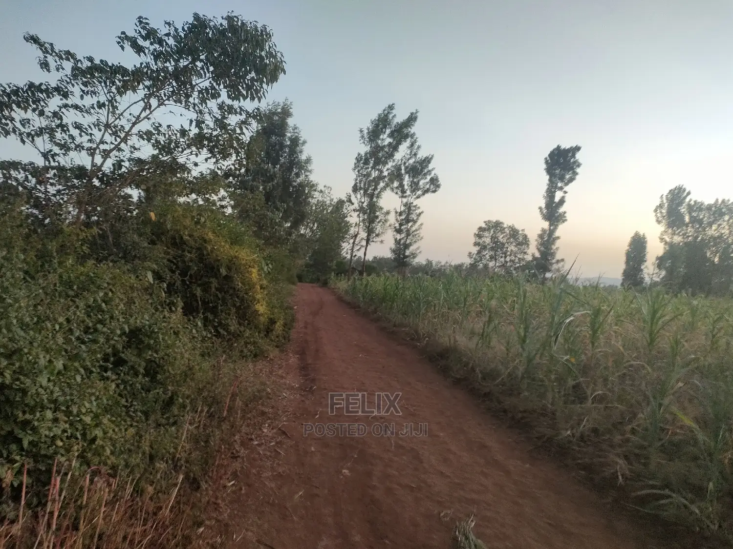 3 Acres Sagana/ Karatina Highway Kiangwachi