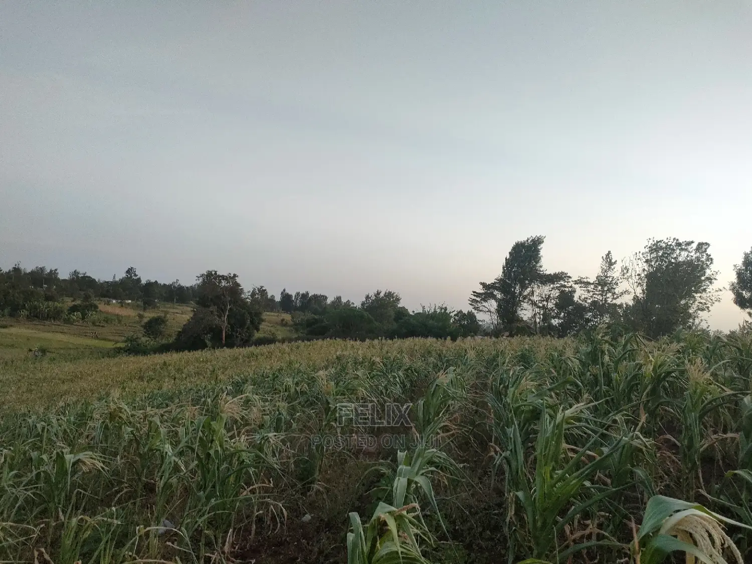 3 Acres Sagana/ Karatina Highway Kiangwachi