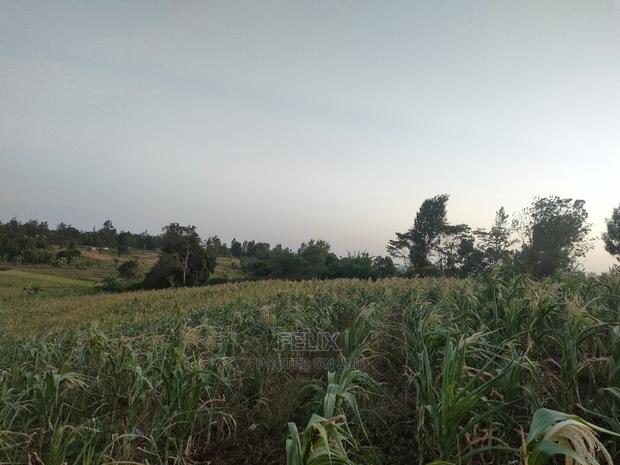 3 Acres Sagana/ Karatina Highway Kiangwachi - thumbnail 11